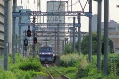 夏草の線路