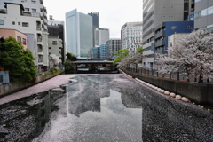 川 vs 海で現れたライン
