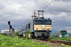 ELぐんま9fin
