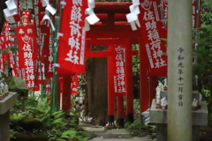 朱