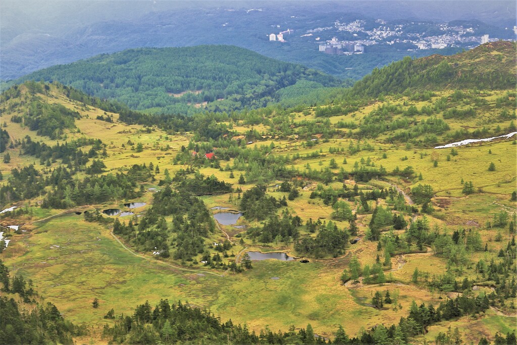 国道最高地点から見る芳ヶ平湿原（蔵出）