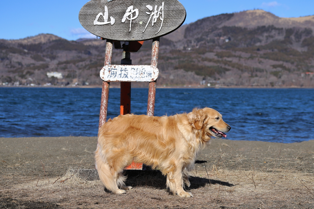 相棒