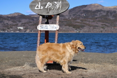 相棒