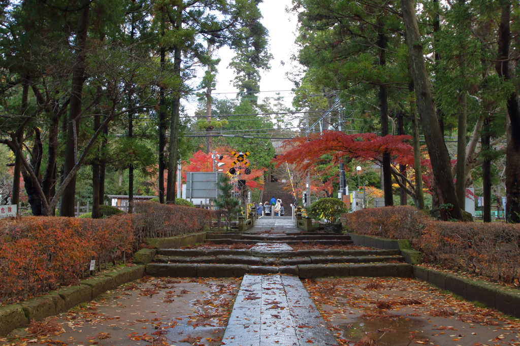 12月の円覚寺