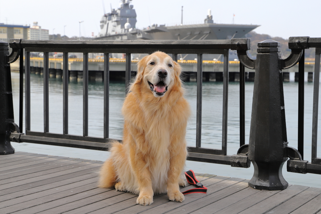 相棒と横須賀の港