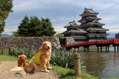 我が家の愛犬（さん太と親戚ムック君）