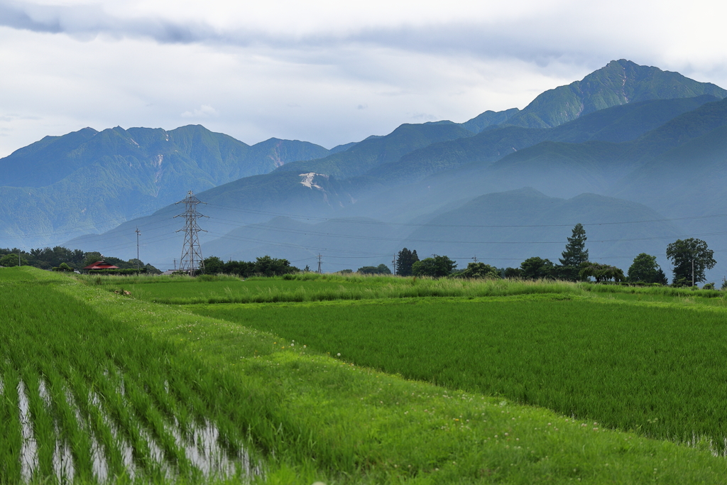 田園風景の南アルプス
