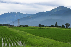 田園風景の南アルプス