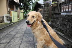 江ノ島スナップ（相棒）
