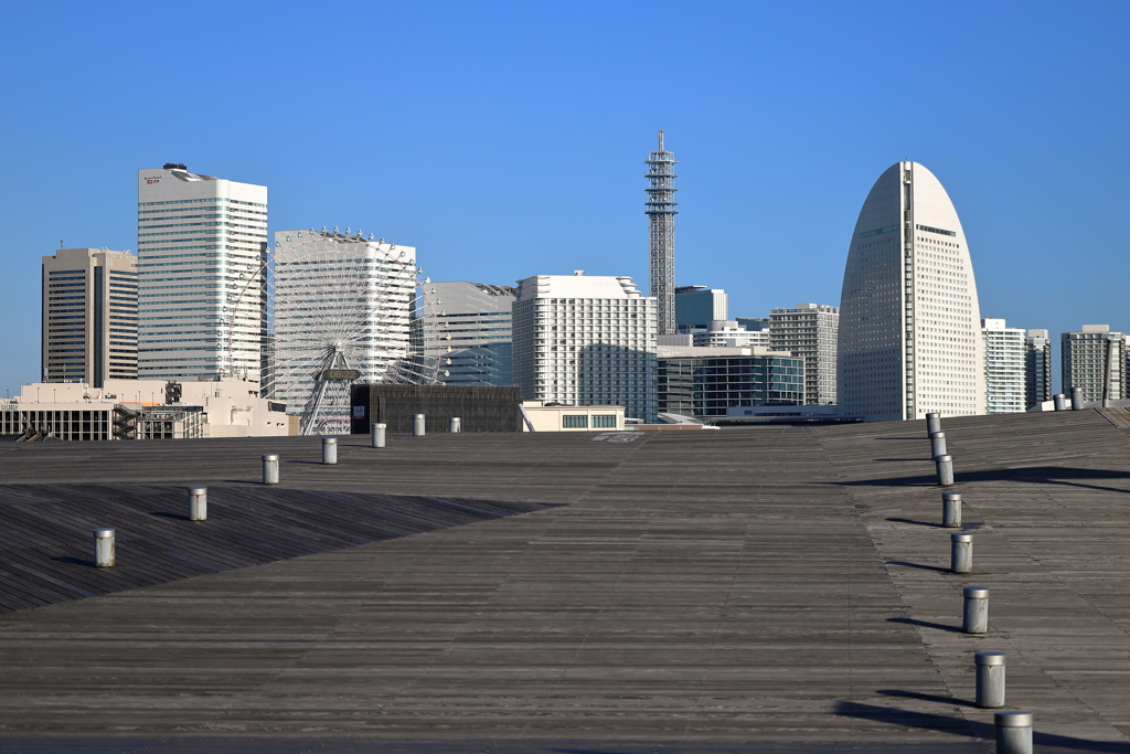 大桟橋・くじらの背中から