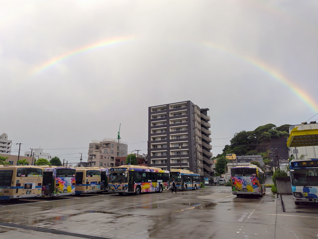 今朝の虹をスマホで