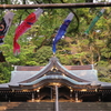 鯉のぼり