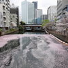 川 vs 海で現れたライン