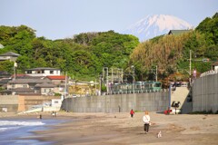 江ノ電（蔵出し）