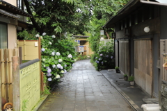 江ノ島スナップ