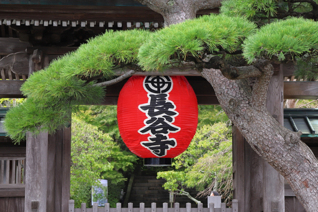 長谷寺・鎌倉