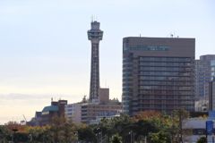 横浜・マリンタワー