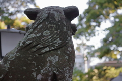 鎌倉　御霊神社