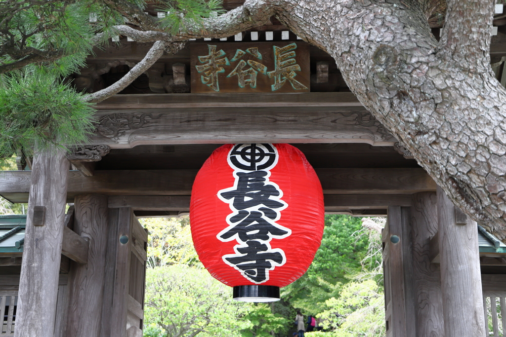 長谷寺・鎌倉