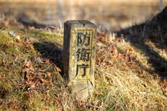 富士山遊歩道より