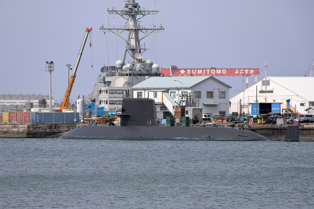 横須賀・ヴェルーニ公園から