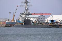 横須賀・ヴェルーニ公園から