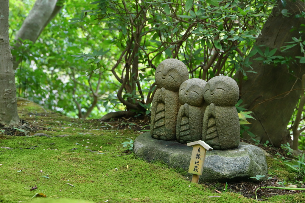 長谷寺・鎌倉
