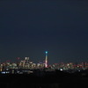 遠くの摩天楼