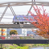 次々と通過するので