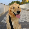 相棒になりました