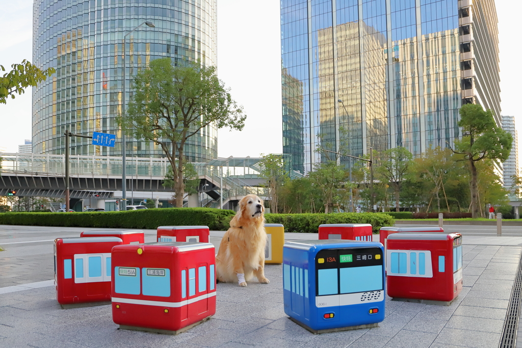 相棒とケイキューブ