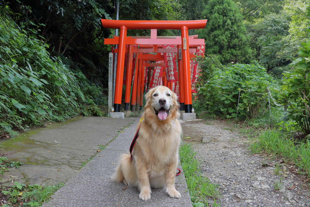 佐助稲荷神社
