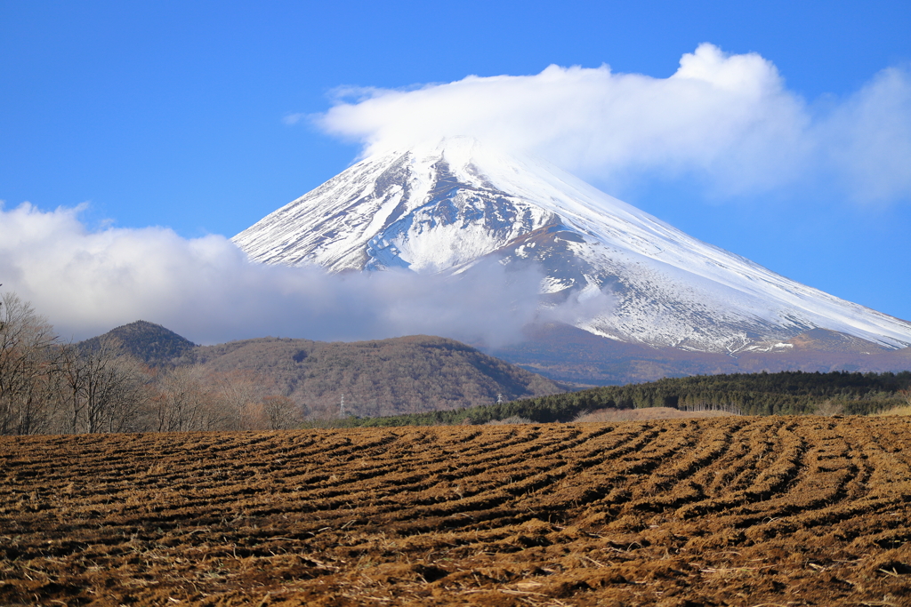 富士山遊歩道より