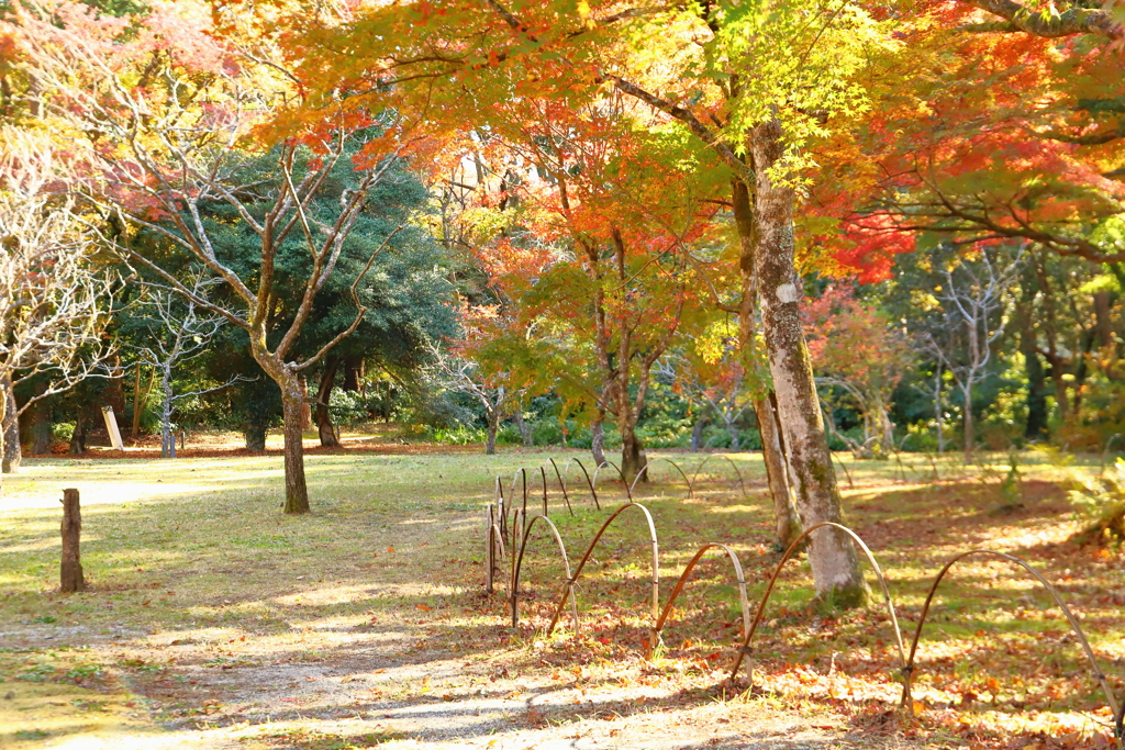 とらや工房　庭園