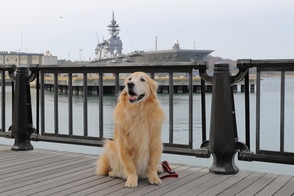 相棒と横須賀の港