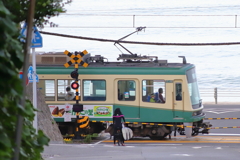 １日の始まりは波乗り