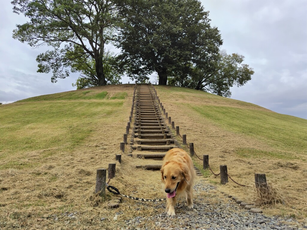 相棒と山梨へ