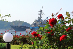 横須賀の港風景