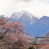 大津山 実相寺から（蔵出）