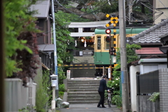 今朝の散歩から（江ノ電）