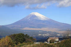 富士山 （三島市の農道から）