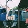 運転体験機関車とトロッコ列車