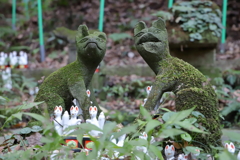 佐助稲荷神社