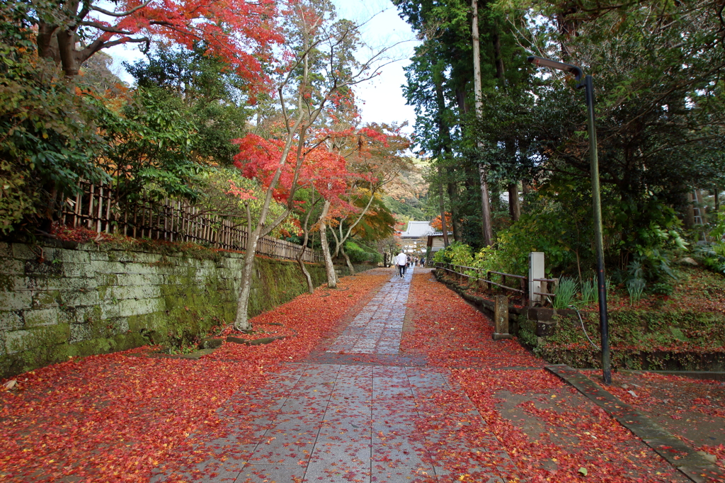 12月の円覚寺