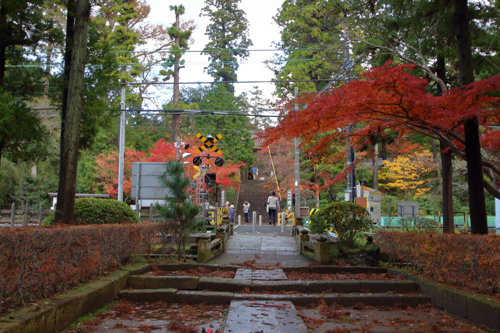 12月の円覚寺