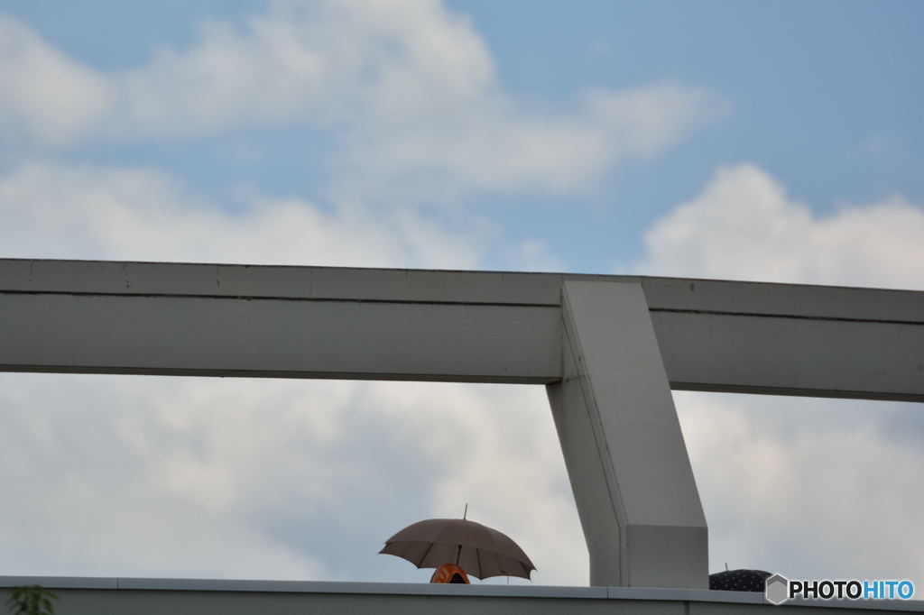 どの夏の空