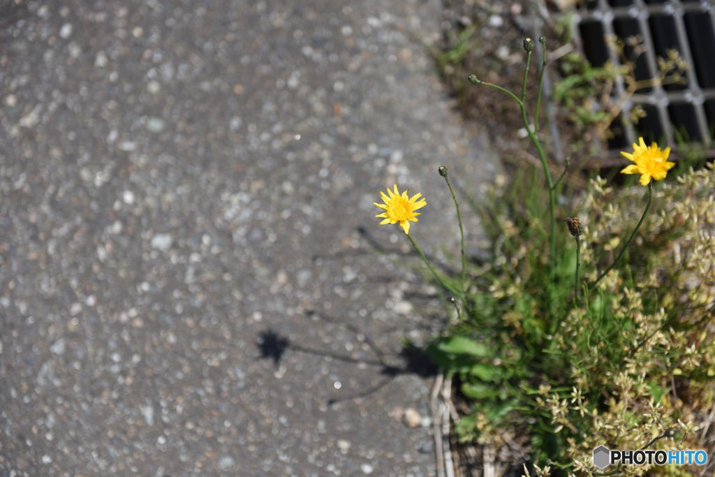 5088　遮られた可視光