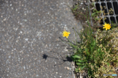 5088　遮られた可視光