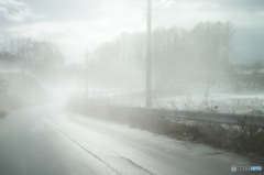 WHITE　OUT
