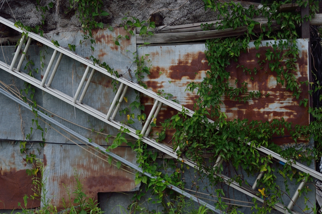 とある壁の風景